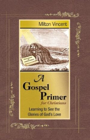 A Gospel Primer for Christians: Learning to See the Glories of God’s Love