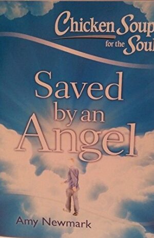Chicken Soup for the Soul Saved by an Angel Book 12 Stories